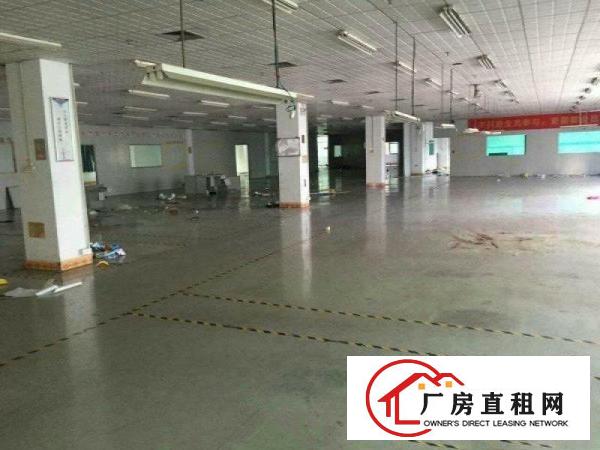 
塘厦莆心湖工业园二楼厂房2700平带地平漆可分租