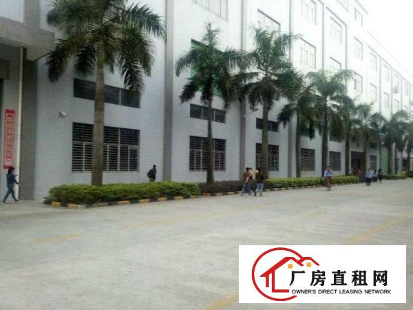 
塘厦大坪新出独院厂房12000平500起可分租精装