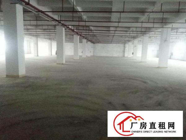
塘厦大坪新出独院厂房12000平500起可分租精装
