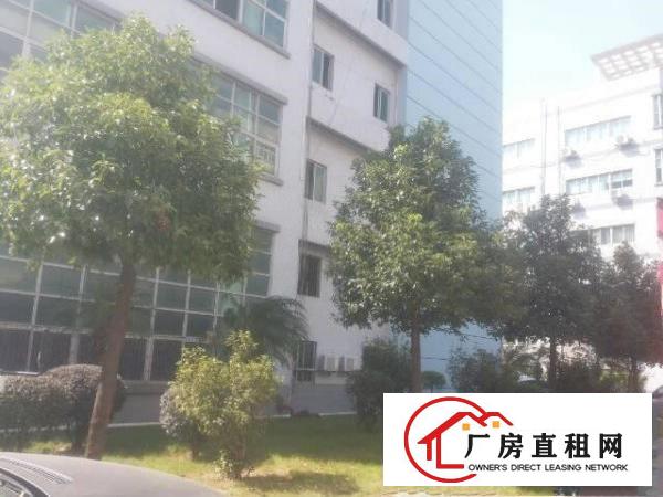 
塘厦新出精装修厂房1900平出租，周边环境好易招工