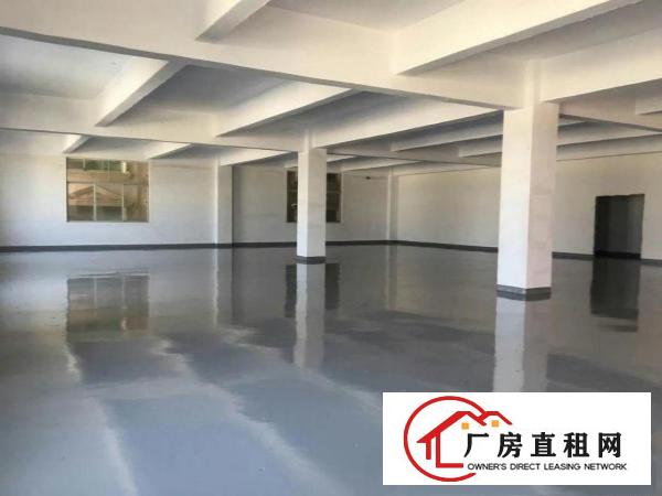 
塘厦高速出口新出原房东楼上带装修厂房4000平米