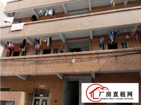 
塘厦大坪2100平独院水电齐全有现成装修办公室