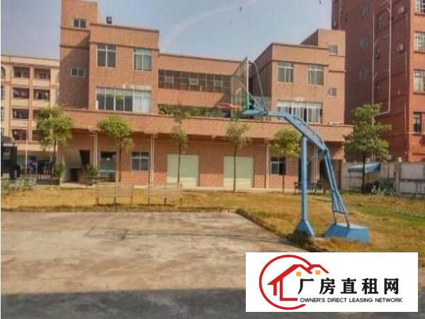 
塘厦龙背岭单层独院豪装空地大带蓝球场可分栋租