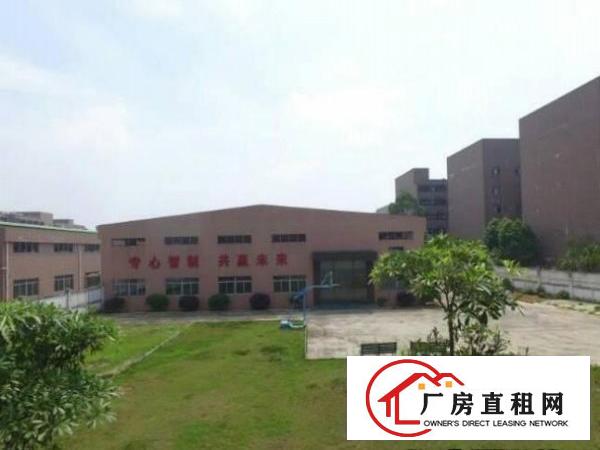 
塘厦龙背岭单层独院豪装空地大带蓝球场可分栋租