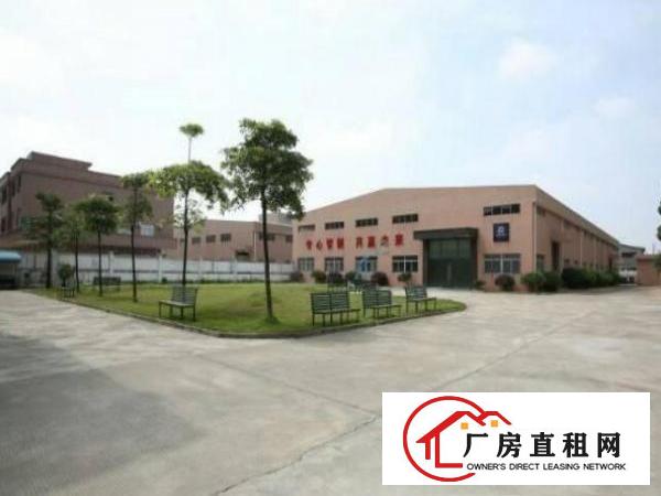 
塘厦龙背岭单层独院豪装空地大带蓝球场可分栋租