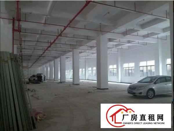
塘厦林村独院分租一楼2500方厂房出租
