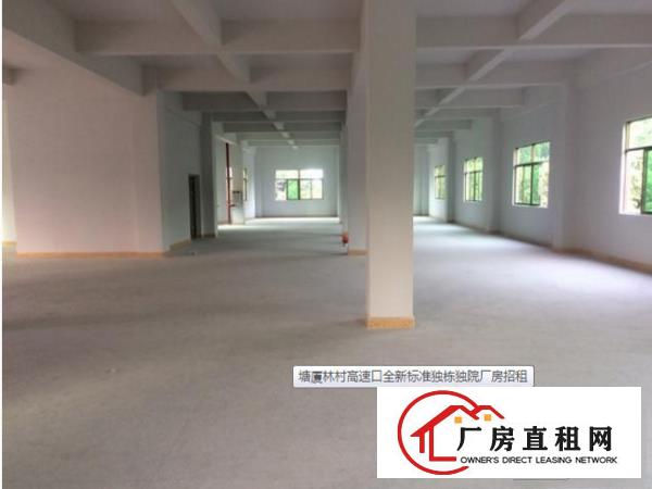 
塘厦林村6米高650平厂房出租只要16元！！！