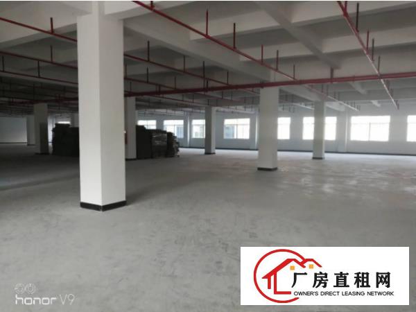 
塘厦田心全新独院300至1500厂房出租可分租