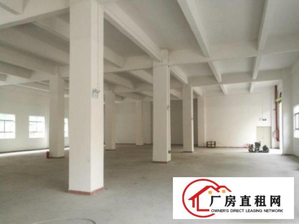 
塘厦凤凰岗一楼厂房分租可分6002000平
