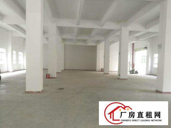
塘厦厂房大全可分租大型工业园小独院钢构应有尽有