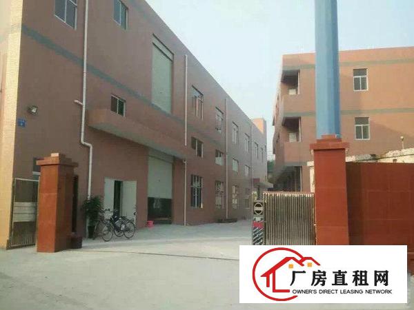 
小面积客户的福音！塘厦138工业区楼上300平厂房