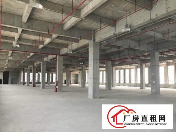
可分租塘厦清湖头一楼1800平厂房出租自带消防喷淋