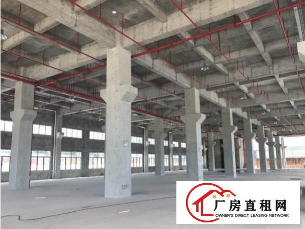 
可分租塘厦清湖头一楼1800平厂房出租自带消防喷淋