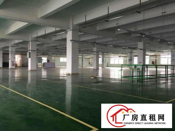 
塘厦花园式靓丽独院12000平方环境好精装修