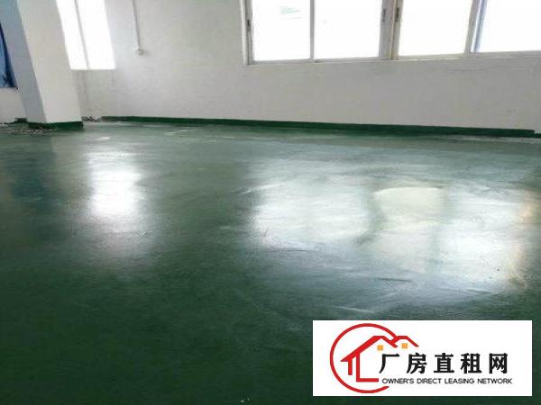 
塘厦花园式靓丽独院12000平方环境好精装修