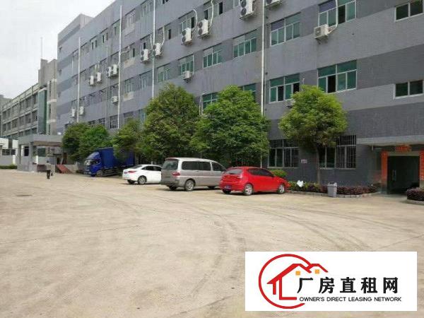 
塘厦128工业区标准2楼850平方现成装修采光好