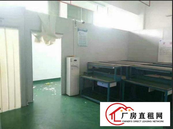 
塘厦沙湖一楼668平方厂房出租现成主线
