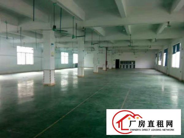 
塘厦沙湖一楼668平方厂房出租现成主线