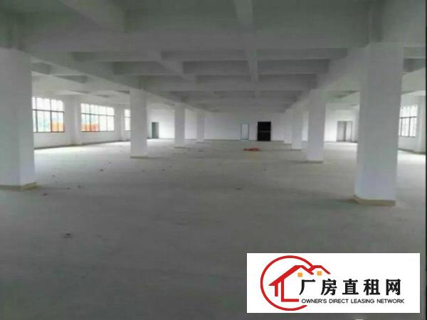 
塘厦三局标准一楼650平米厂房出租水电齐全
