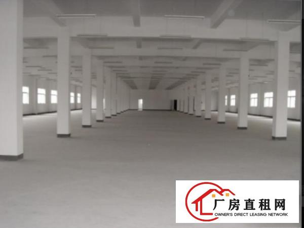 
塘厦三局标准一楼650平米厂房出租水电齐全