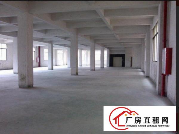 
塘厦三局标准一楼650平米厂房出租水电齐全