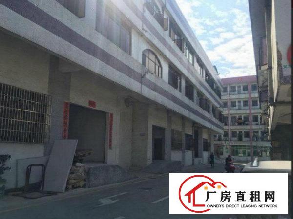 
塘厦大坪标准一楼2000平方便宜厂房出租