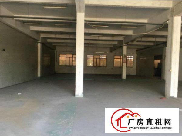 
塘厦大坪标准一楼2000平方便宜厂房出租
