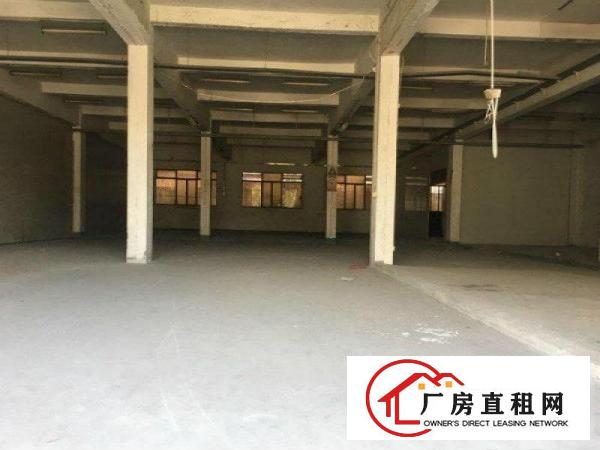 
塘厦大坪标准一楼2000平方便宜厂房出租