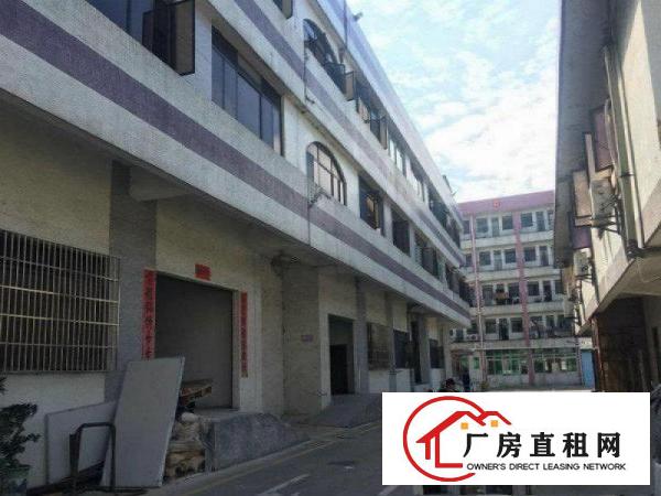 
塘厦大坪标准一楼2000平方便宜厂房出租