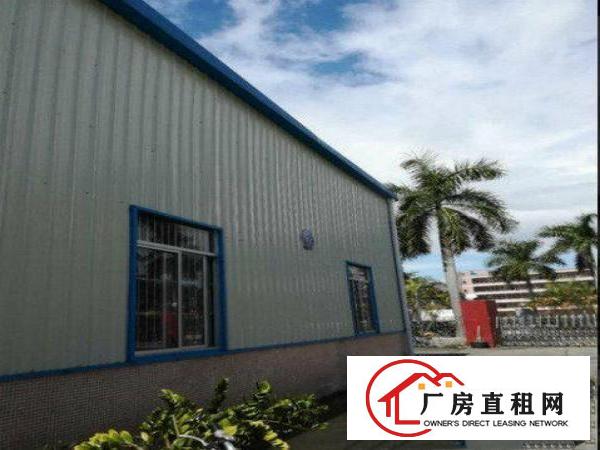 
塘厦诸佛岭新出钢构800平厂房出租高7米主线到车间