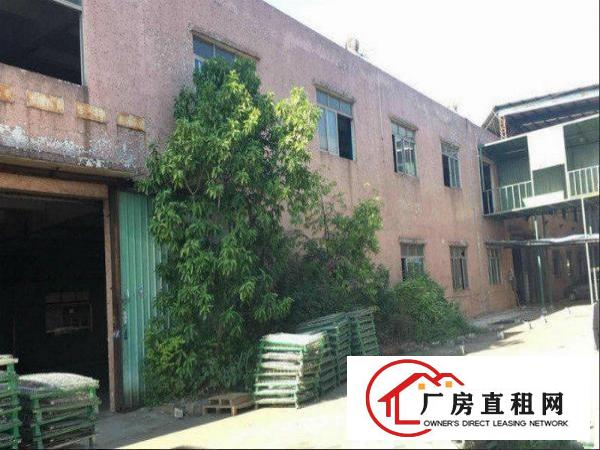 
塘厦莆心湖一楼350平方厂房出，主线到车间，空地大