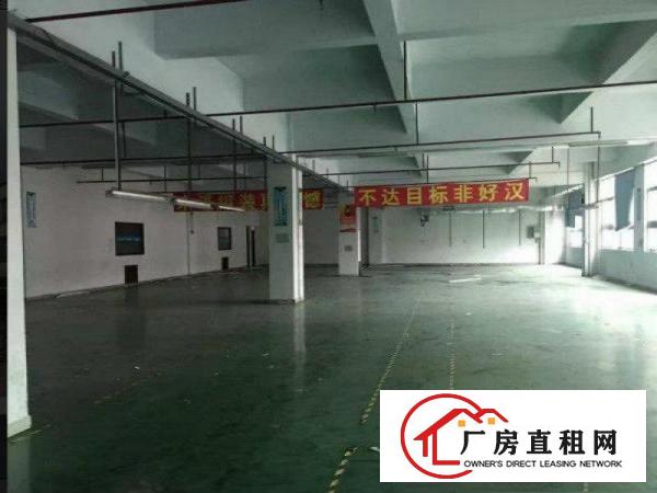 
急租塘厦石马二楼900平厂房出租，现成带装修！
