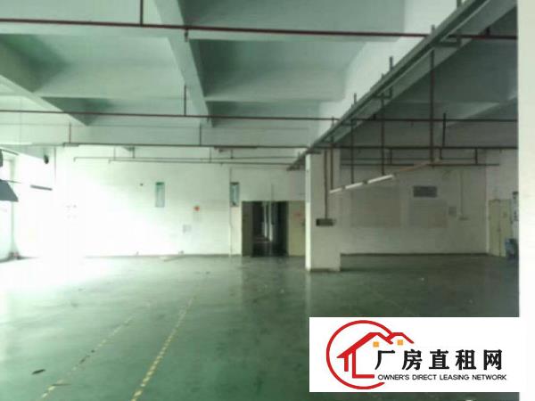
急租塘厦石马二楼900平厂房出租，现成带装修！