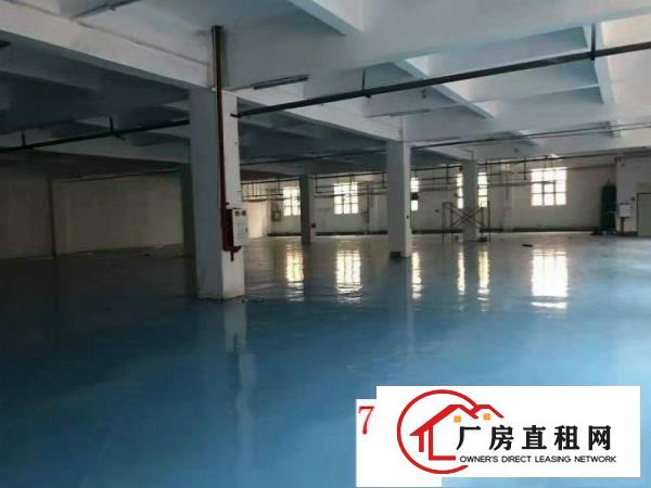 
急租塘厦独院分租一楼700平方厂房出租