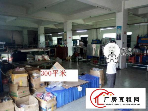 
急租塘厦独院分租一楼700平方厂房出租