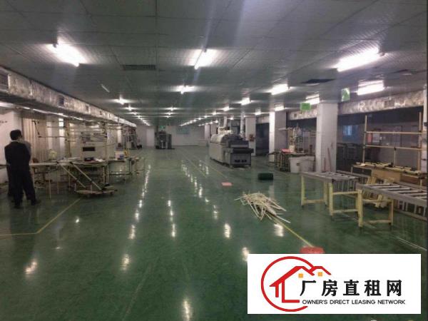 
塘厦莲湖二楼4000平带地平漆带消防喷淋厂房出租