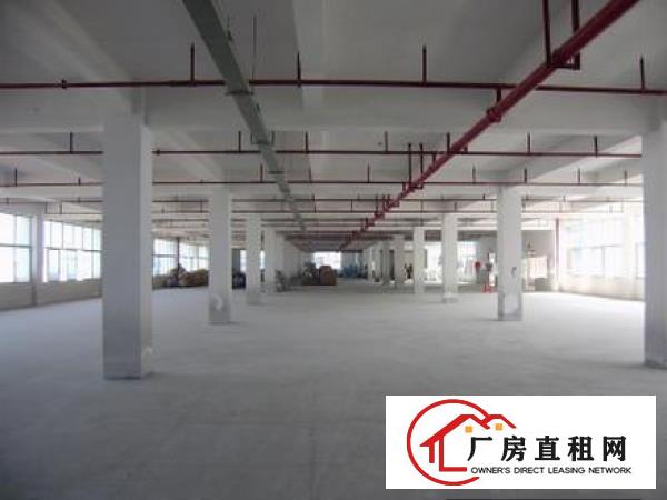 
塘厦清湖头标准一楼1100二楼1500厂房可分租