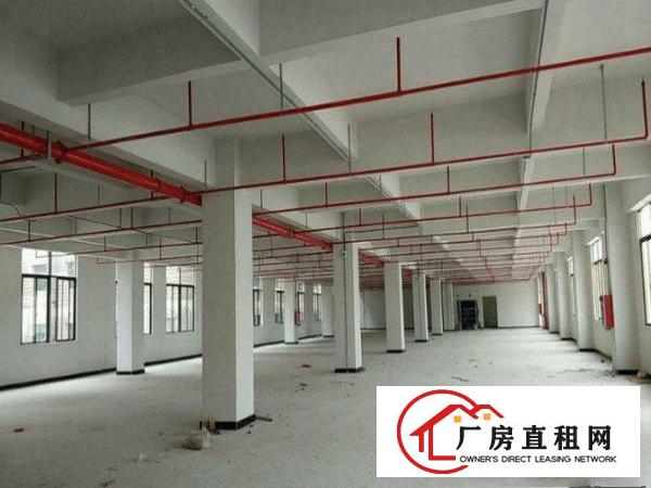 
塘厦清湖头标准一楼1100二楼1500厂房可分租