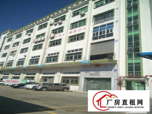 
塘厦桥陇新出楼上带装修厂房620平米、适合电子配件