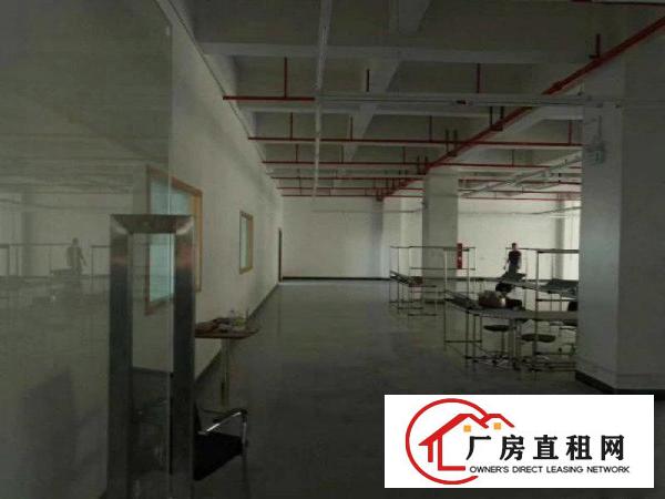 
塘厦大坪高速出口新出三楼1400平米，带消防喷淋