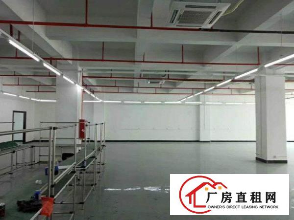 
塘厦大坪高速出口新出三楼1400平米，带消防喷淋