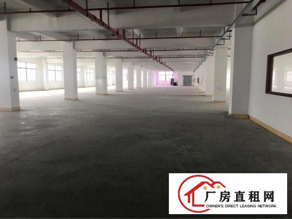 
塘厦科苑城带装修四楼3000平方有消防喷淋