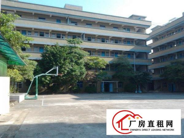 
塘厦镇沙湖村带豪华装修独院厂房6000平米火爆招租