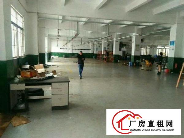 
塘厦石鼓独院标准1楼1350平方现成主线交交通方便