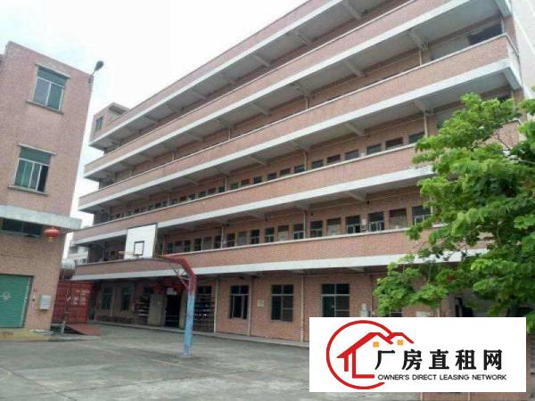 
塘厦石鼓独院标准1楼1350平方现成主线交交通方便