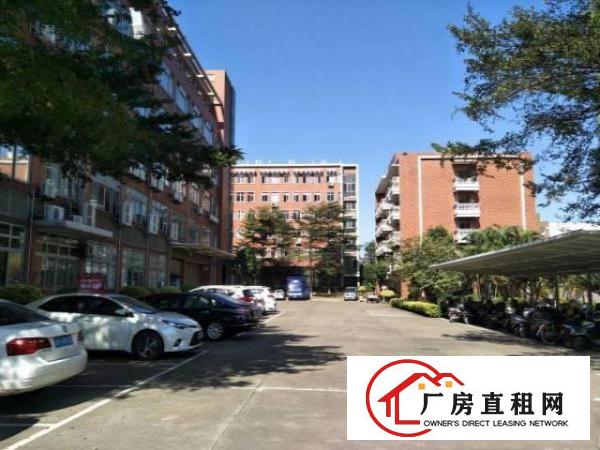 
塘厦石马独院楼上720平方地坂砖精装修进场即生产