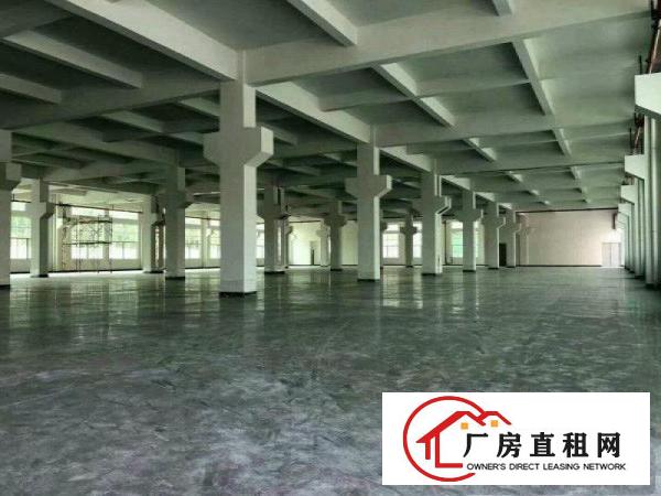 
塘厦大坪独院1楼2400平方高7米带牛角，形象佳