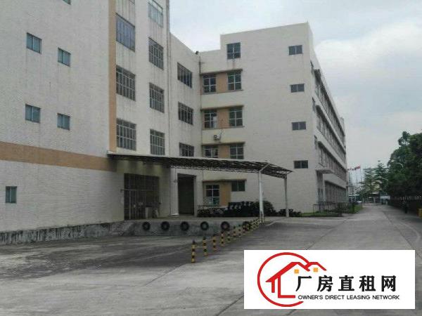 
塘厦高端产业园70000平方形象好空地大可分租