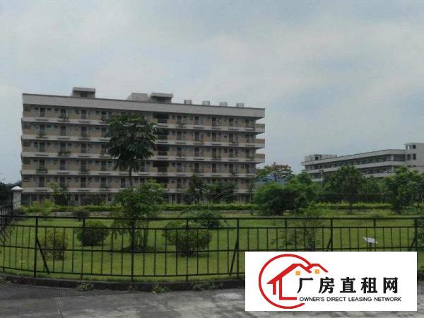 
塘厦高端产业园70000平方形象好空地大可分租