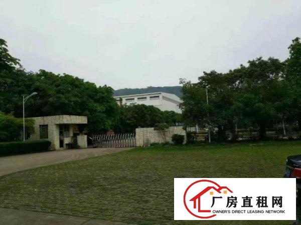 
塘厦重工业单一层独院20500平方高8米空地超大